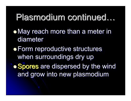 Kingdom Protista Powerpoint - Hamilton Local Schools