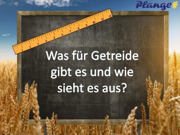 Getreidesorten im Überblick - Plange