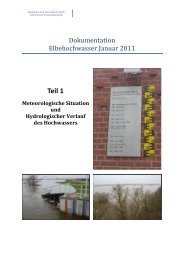 Dokumentation Elbehochwasser Januar 2011 - Teil 1 - StÄLU