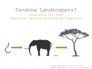 Savanna Landscapers? Assessing the seed dispersal ... - SANParks
