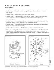 activity 2i - the aging hand - The University of Texas Health Science ...