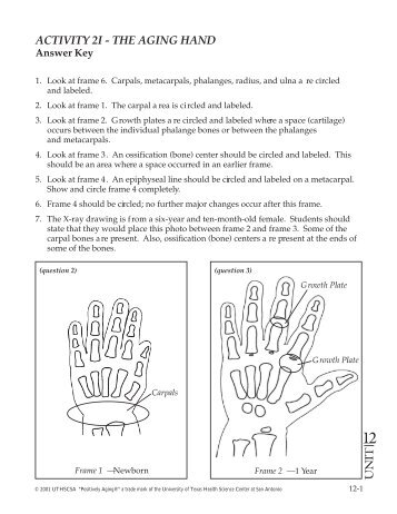 activity 2i - the aging hand - The University of Texas Health Science ...