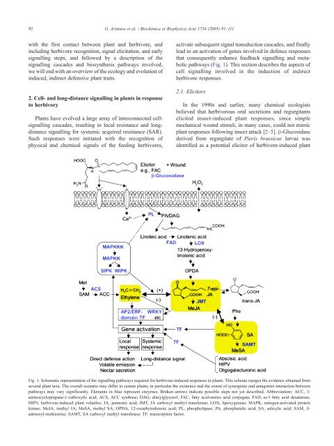 Herbivore-induced, indirect plant defences - UPCH