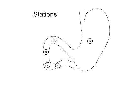 Echo-endoscopie : Particularités et indications