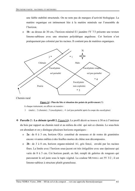 Substances humiques du sol et du compost analyse - Les thÃ¨ses en ...