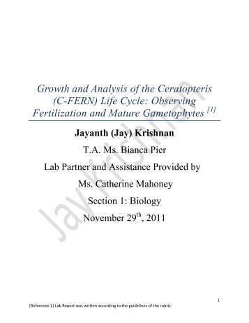 Growth and Analysis of the Ceratopteris (C-FERN) Life Cycle ...