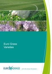 Euro Grass Varieties