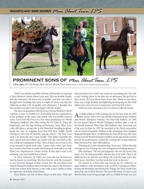 Man About Town LPS - American Morgan Horse Association