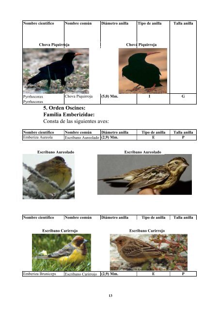 anatomia y morfologia de fauna europea - F.O.R.M.