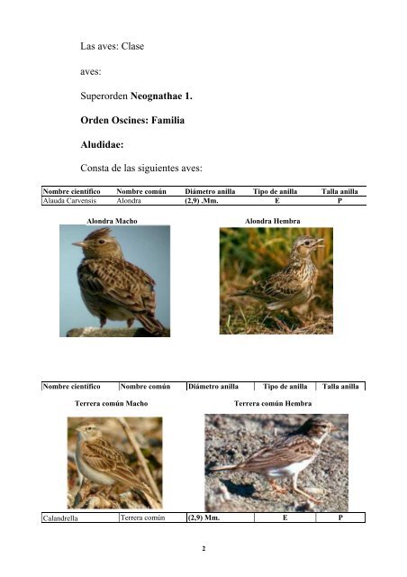 anatomia y morfologia de fauna europea - F.O.R.M.