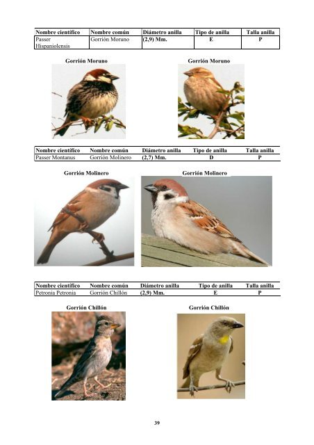 anatomia y morfologia de fauna europea - F.O.R.M.