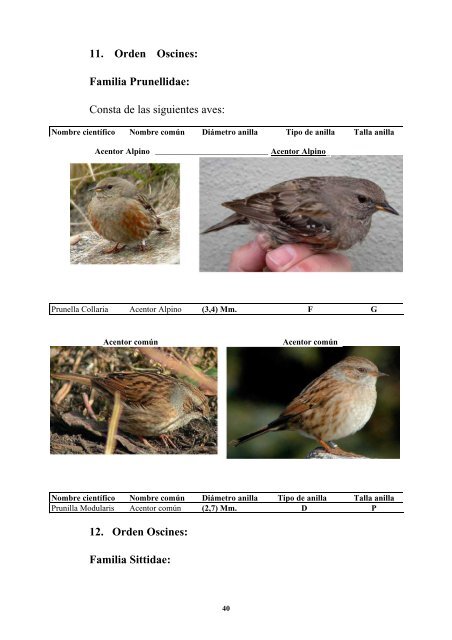 anatomia y morfologia de fauna europea - F.O.R.M.