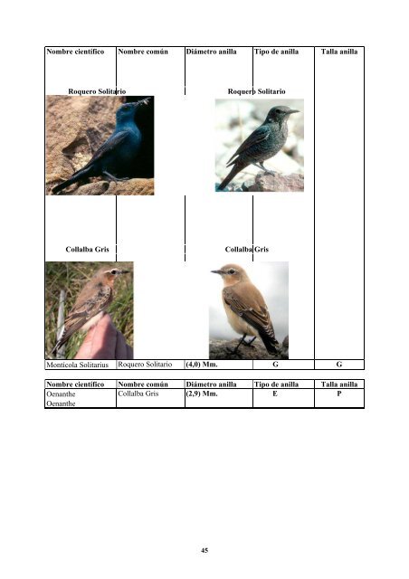 anatomia y morfologia de fauna europea - F.O.R.M.