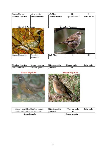 anatomia y morfologia de fauna europea - F.O.R.M.