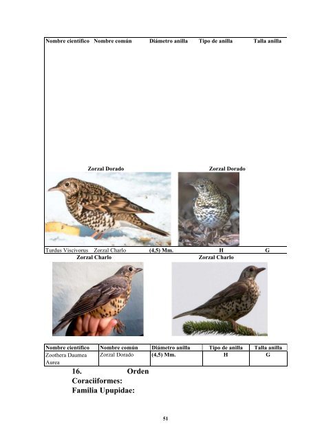 anatomia y morfologia de fauna europea - F.O.R.M.