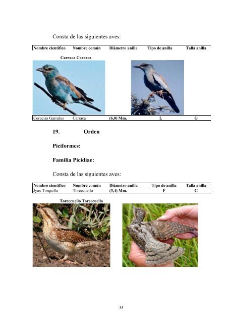 anatomia y morfologia de fauna europea - F.O.R.M.