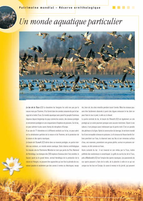 Région de la Puszta Lac Tisza PDF - Guide en Hongrie