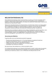 Meilensteintrendanalyse (pdf) - GPM InfoCenter