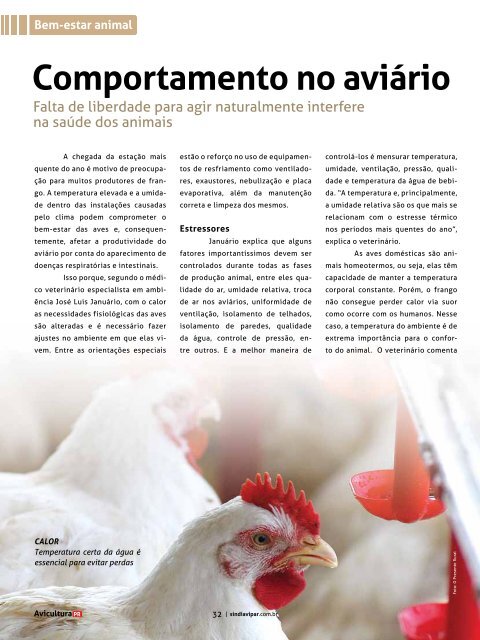 Revista Avicultura - Sindiavipar