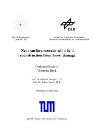 Near-surface tornado wind field reconstruction from forest damage