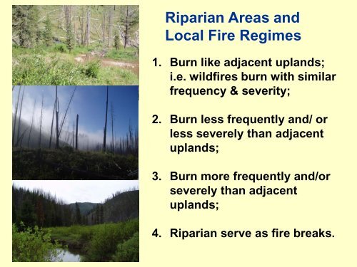 Fire and Fuel Reduction Treatments in Riparian Areas: