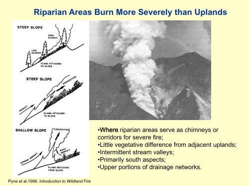 Fire and Fuel Reduction Treatments in Riparian Areas: