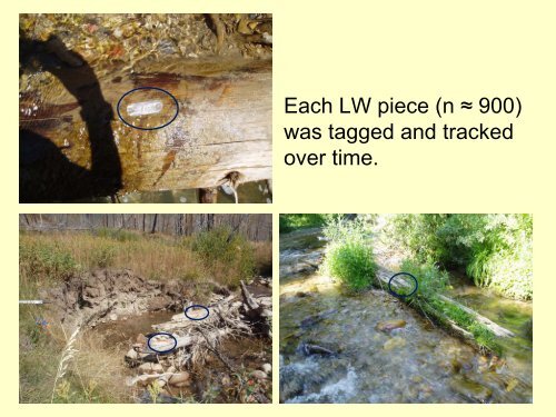 Fire and Fuel Reduction Treatments in Riparian Areas: