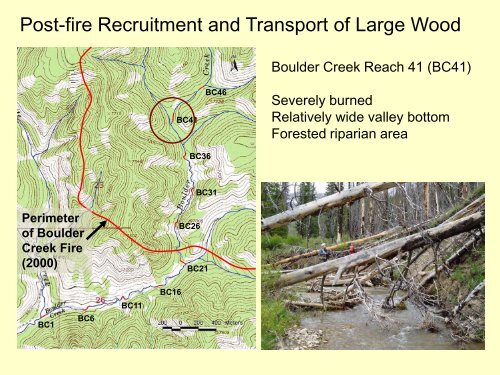 Fire and Fuel Reduction Treatments in Riparian Areas: