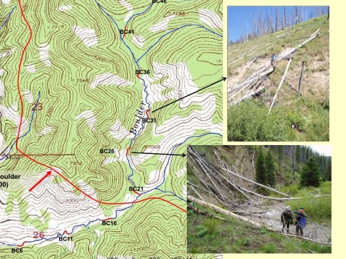 Fire and Fuel Reduction Treatments in Riparian Areas: