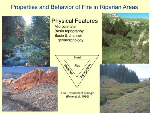 Fire and Fuel Reduction Treatments in Riparian Areas: