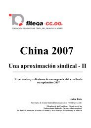 China 2006 â Una aproximaciÃ³n sindical