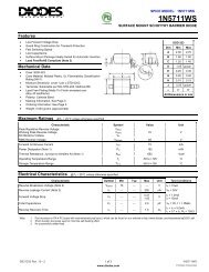 1N5711WS - dieet