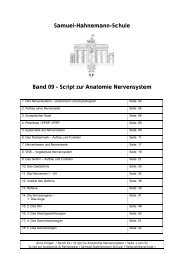 Nervensystem - Samuel-Hahnemann-Schule