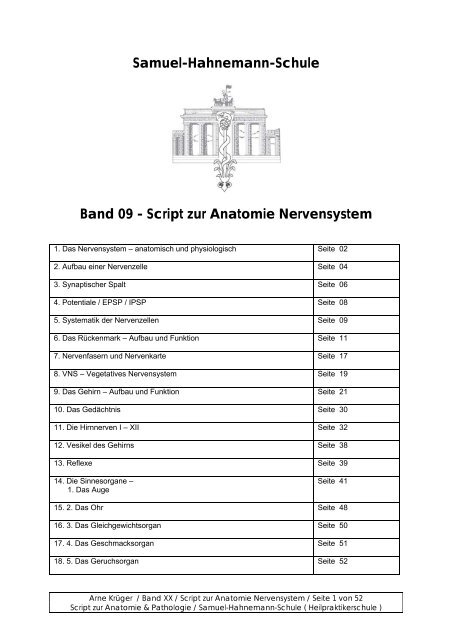 Nervensystem - Samuel-Hahnemann-Schule