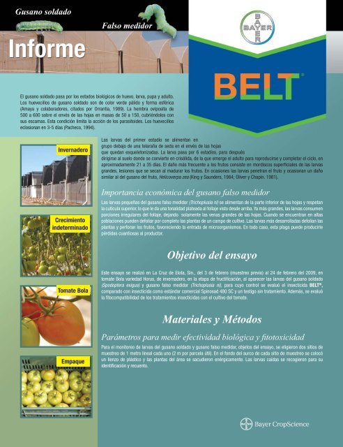 WEB ARMADO G.SOLDADO Y MEDIDOR.indd - Bayer CropScience ...