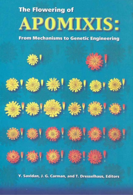 Chapter 5 Genetic Analysis of Apomixis - cimmyt