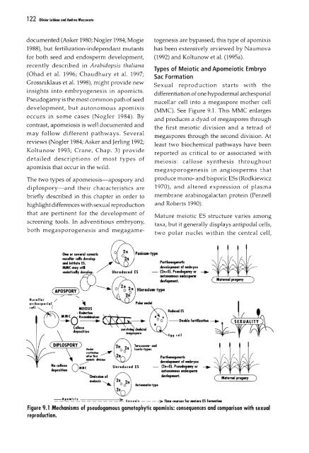 Chapter 5 Genetic Analysis of Apomixis - cimmyt