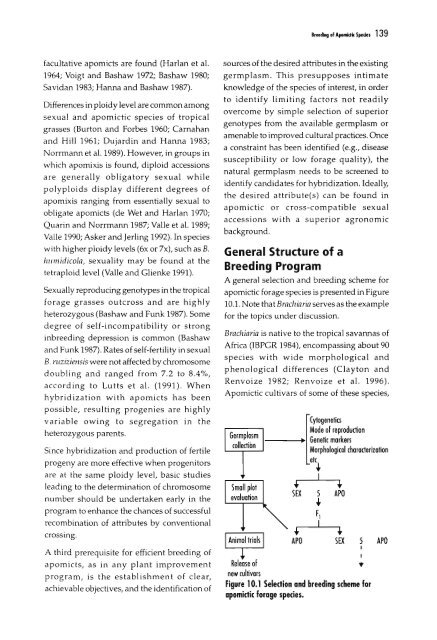 Chapter 5 Genetic Analysis of Apomixis - cimmyt