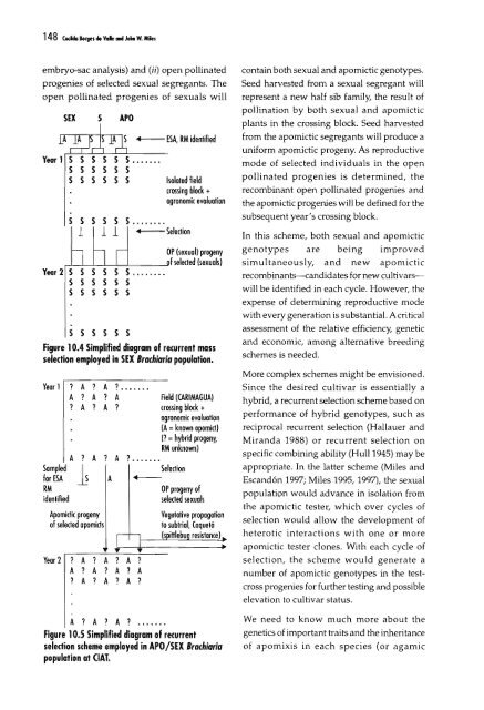 Chapter 5 Genetic Analysis of Apomixis - cimmyt