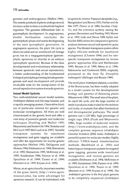 Chapter 5 Genetic Analysis of Apomixis - cimmyt