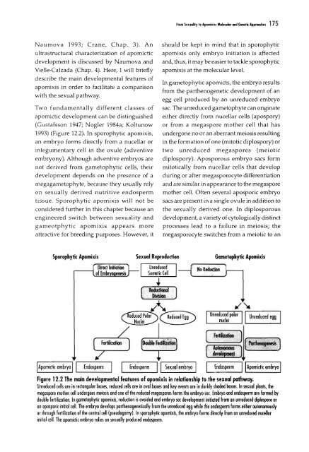 Chapter 5 Genetic Analysis of Apomixis - cimmyt