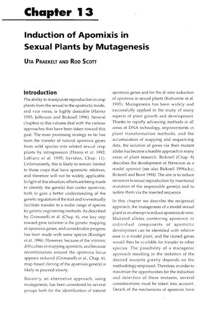 Chapter 5 Genetic Analysis of Apomixis - cimmyt