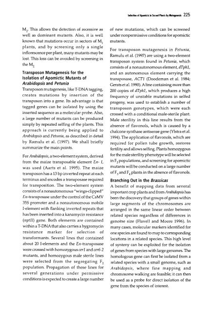 Chapter 5 Genetic Analysis of Apomixis - cimmyt