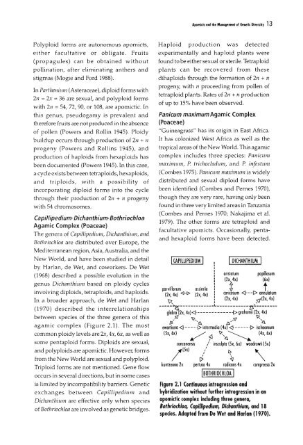 Chapter 5 Genetic Analysis of Apomixis - cimmyt