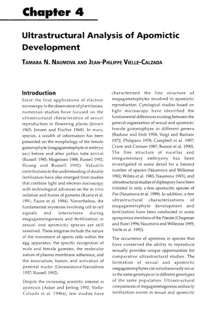 Chapter 5 Genetic Analysis of Apomixis - cimmyt