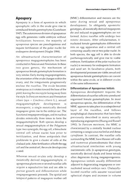 Chapter 5 Genetic Analysis of Apomixis - cimmyt