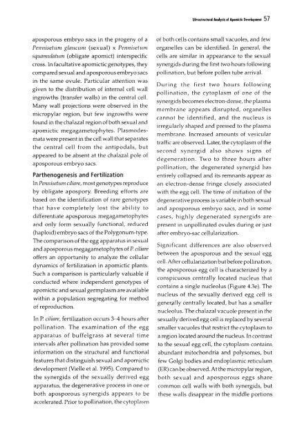 Chapter 5 Genetic Analysis of Apomixis - cimmyt