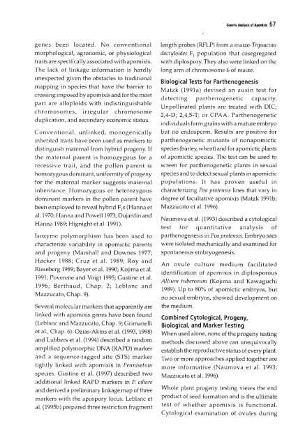 Chapter 5 Genetic Analysis of Apomixis - cimmyt