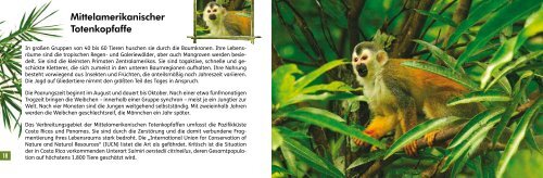 TIERE IM REGENWALD – Markenedition der ... - Peter Sehnal