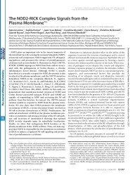 The NOD2-RICK Complex Signals from the Plasma Membrane*DS